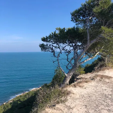 펜션 Maison Bellou A La Franqui 루케이트